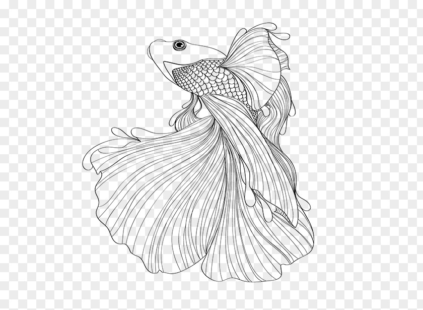 Fish Siamese Fighting Goldfish Drawing Sketch PNG