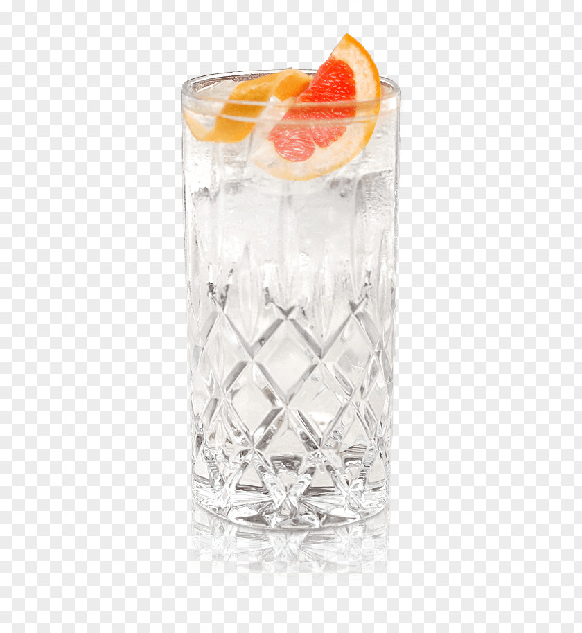 Gin And Tonic Water Sea Breeze Cocktail Garnish Vodka PNG