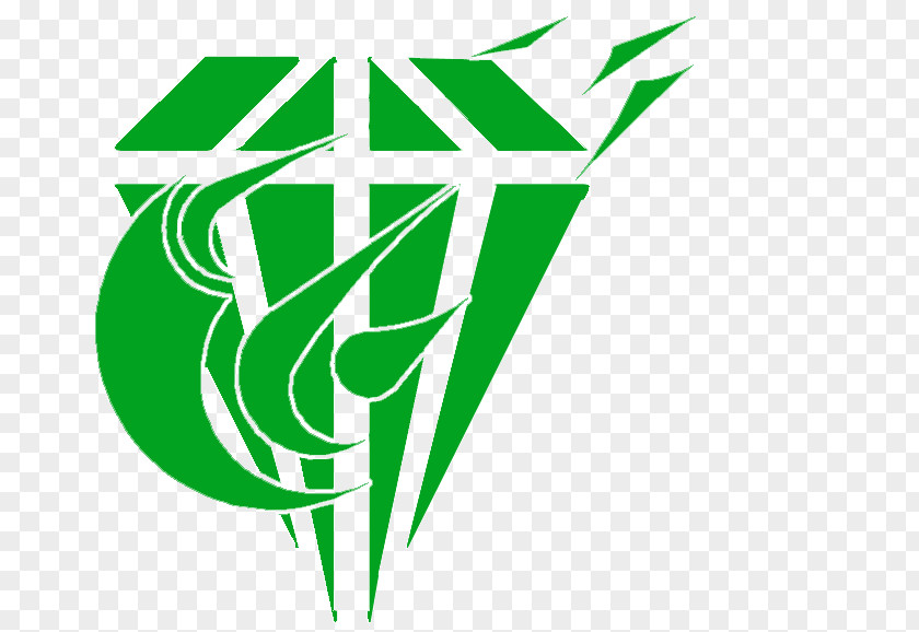 Leaf Logo Brand Font PNG