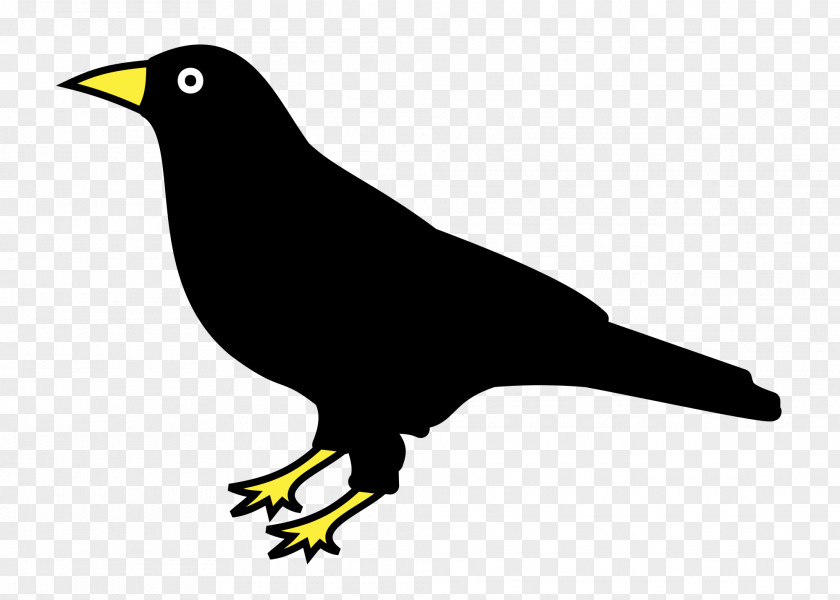 Raven Drawing Corvo Clip Art PNG