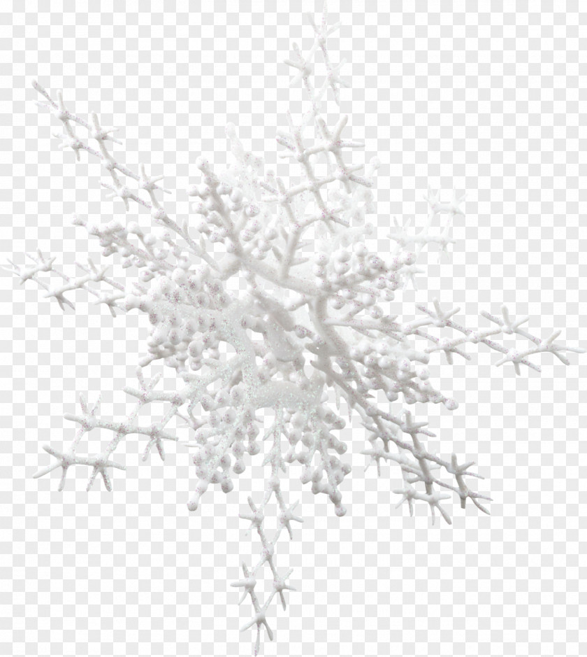 Snow Snowflake Christmas Kholm, Kholmsky District, Novgorod Oblast Clip Art PNG