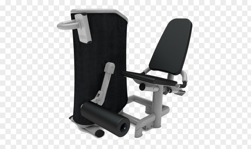 Fitness Centre Strength Training Hyperextension Physical PNG