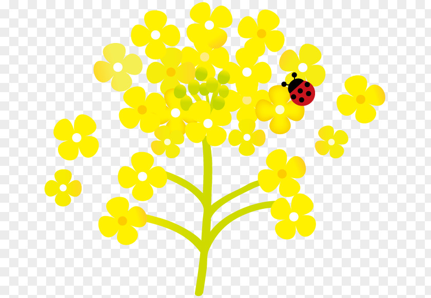 Flower And Ladybug. PNG