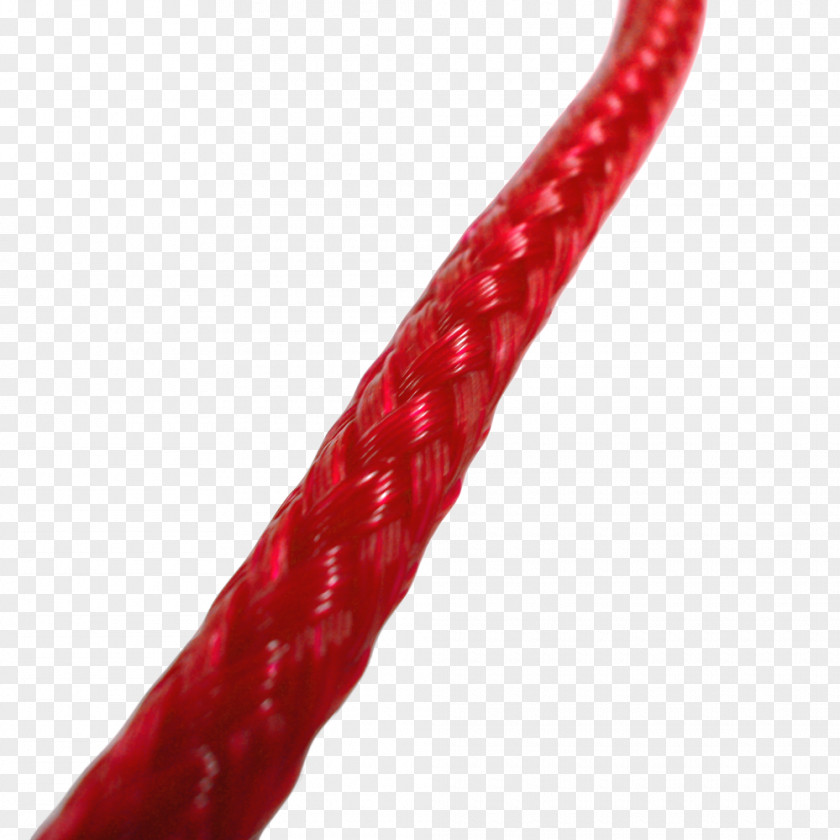 Rope Leash Foot Braid Polyethylene PNG
