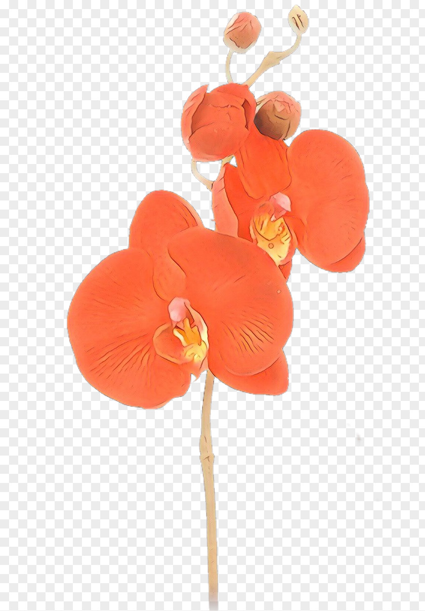 Artificial Flower Anthurium Cut Flowers Petal Moth Orchids PNG
