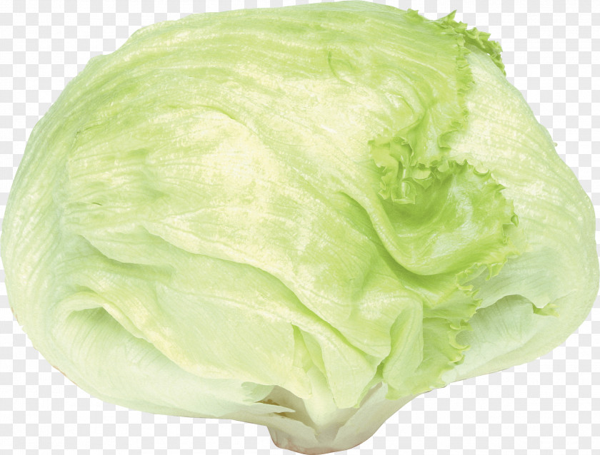Cabbage Image Romaine Lettuce Cauliflower Kale PNG
