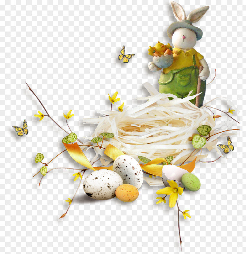 Easter Bunny Photography Rabbit PNG