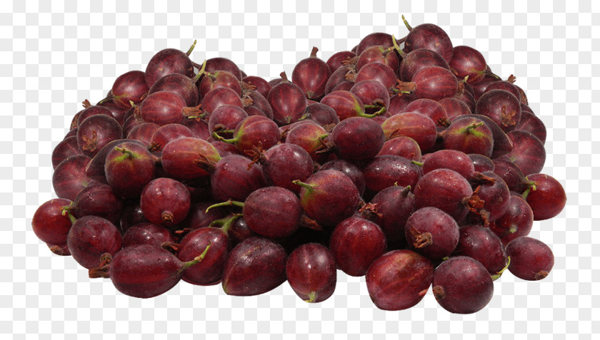 Grape Zante Currant Seedless Fruit Food PNG