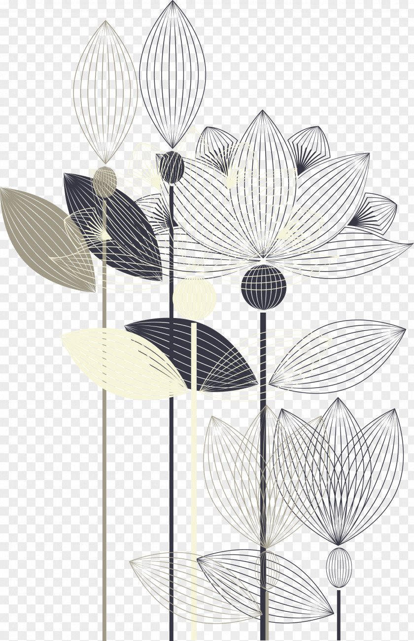 Hand-painted Black And White Lotus PNG