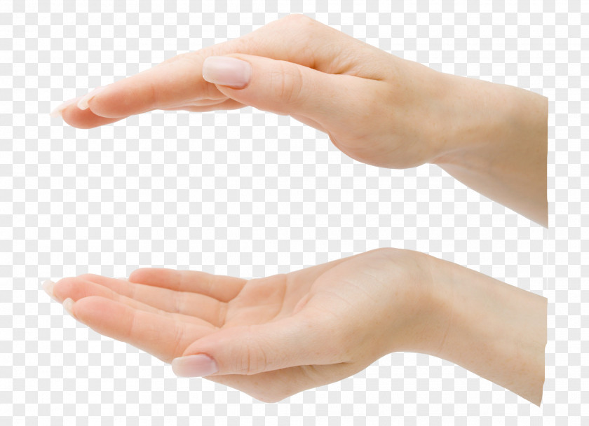 Hands Up And Down Relative Hand Finger Digit PNG