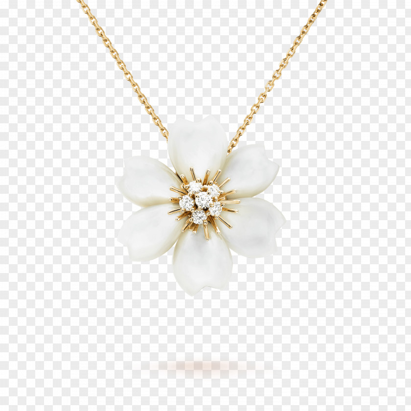 Jewellery Model Pearl Necklace Charms & Pendants Body PNG