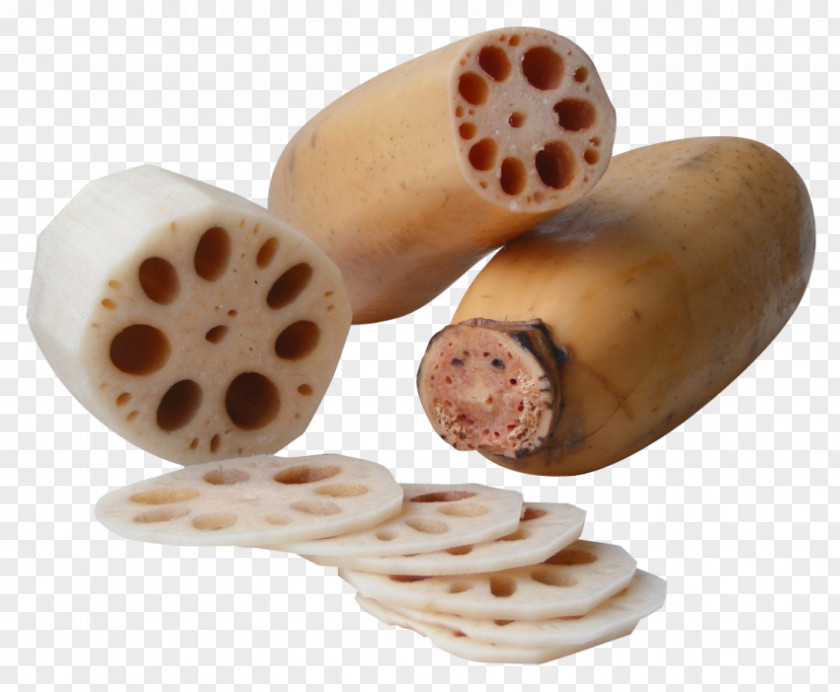 Lotus Root Food Nelumbo Nucifera PNG
