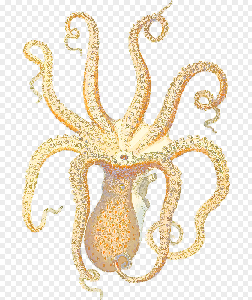 Octopus Gold Marine Science Biology PNG
