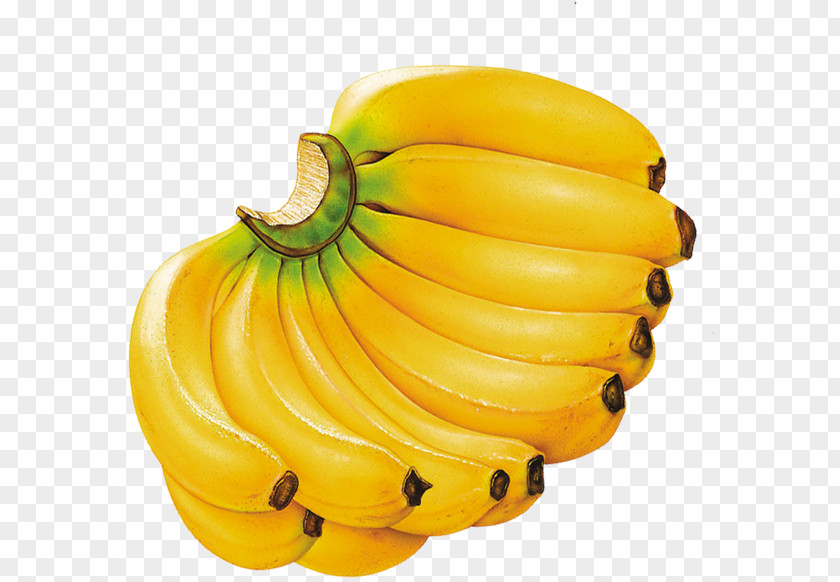 Banana Milkshake Fruit Eating Food PNG