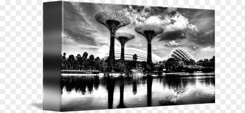 GARDEN BY THE BAY Desktop Wallpaper Stock Photography White Computer PNG