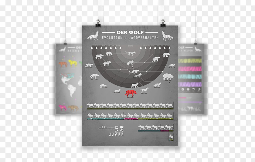 Infografik Gray Wolf Infographic Text Process PNG