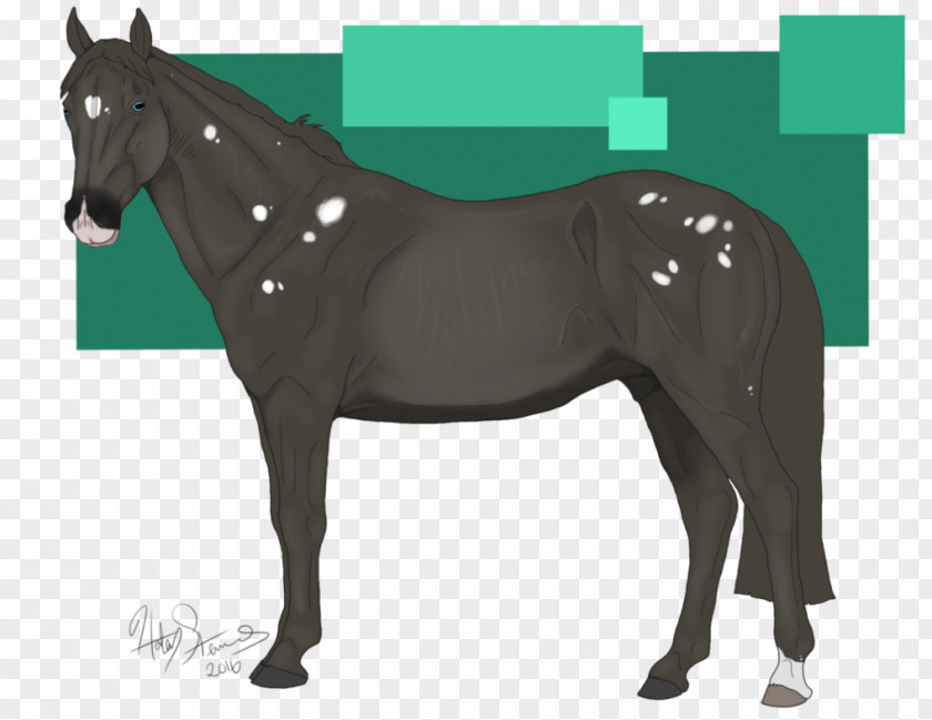 Mustang Mane Stallion Mare Colt PNG