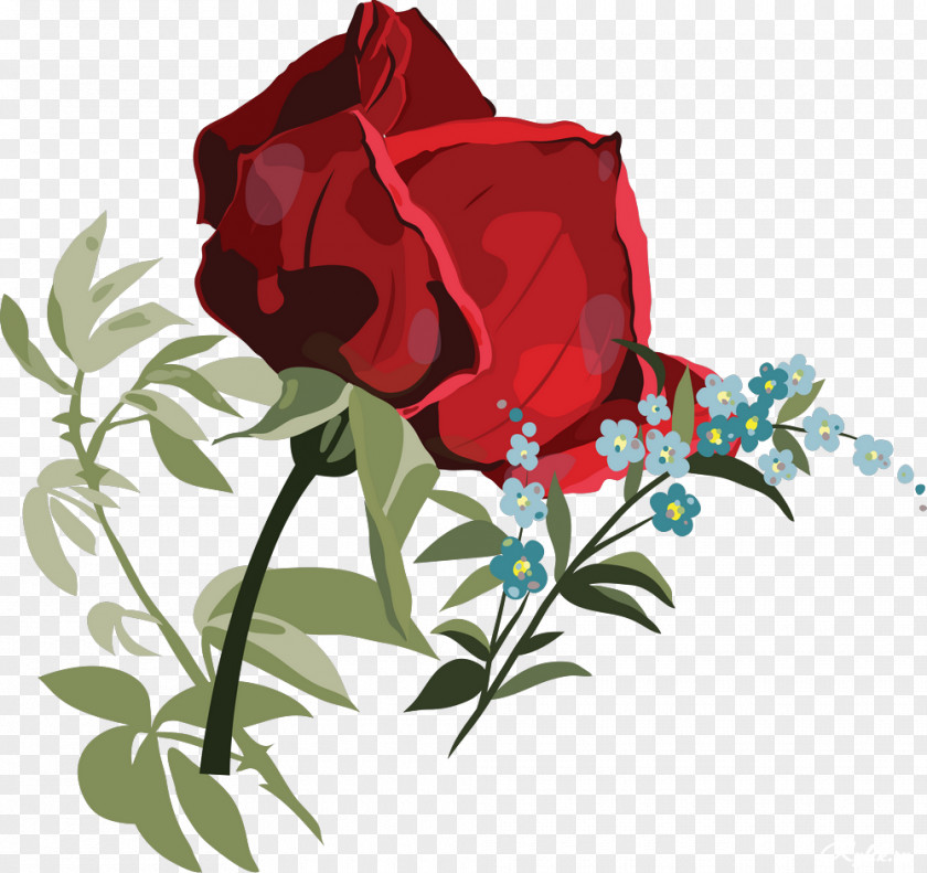 Beautiful Rose Garden Roses Flower Centifolia Clip Art PNG
