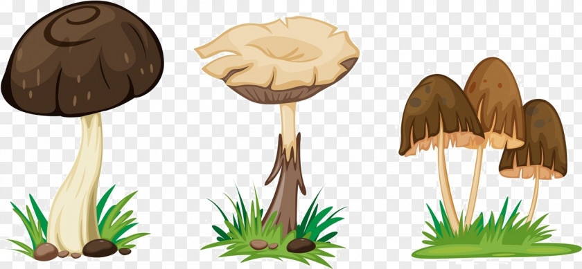 Cartoon Mushroom Material Drawing Illustration PNG