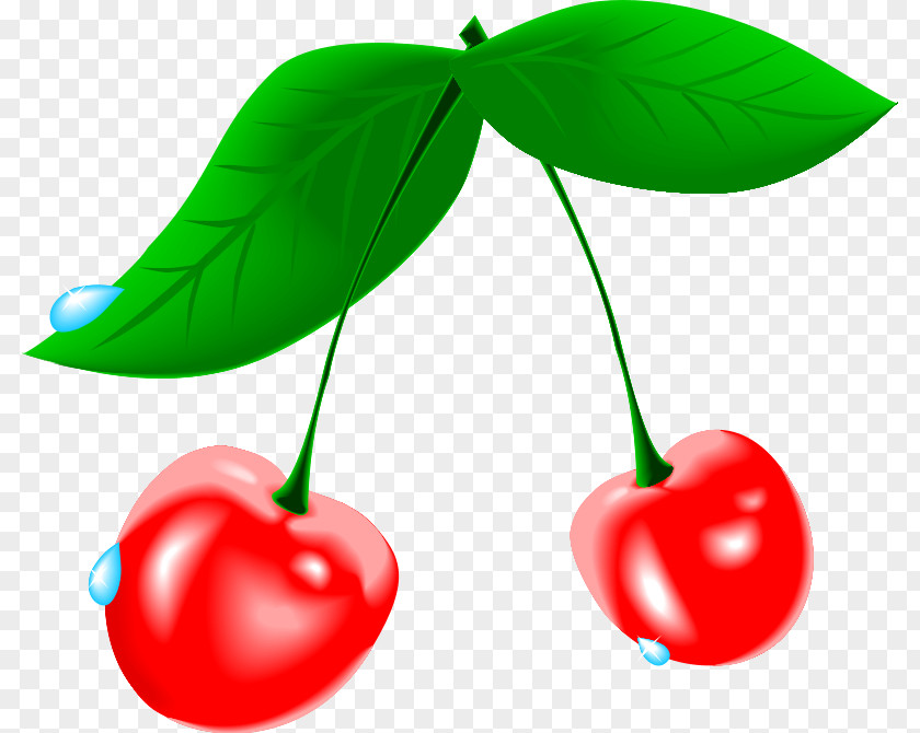 Cherry Pie Picture Clip Art PNG