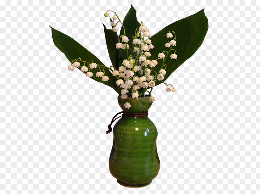 Flower Clip Art Image Vase PNG