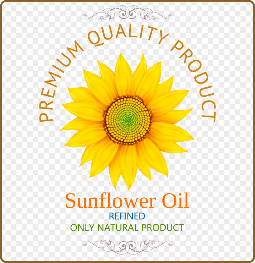 Sunflower Cover Pattern Common Oil PNG
