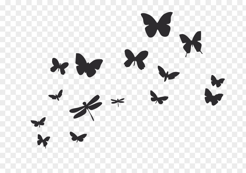 Butterfly Wall Decal Insect Paper PNG