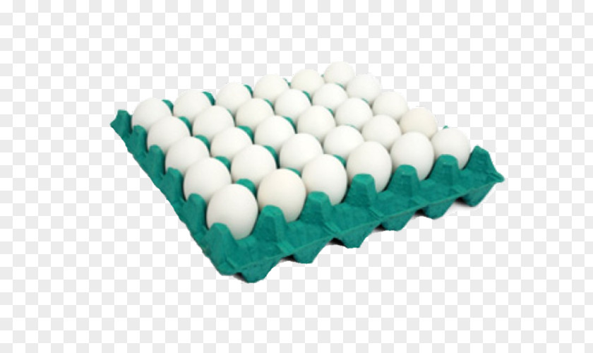 Chicken Scrambled Eggs Quail MG OVOS PNG