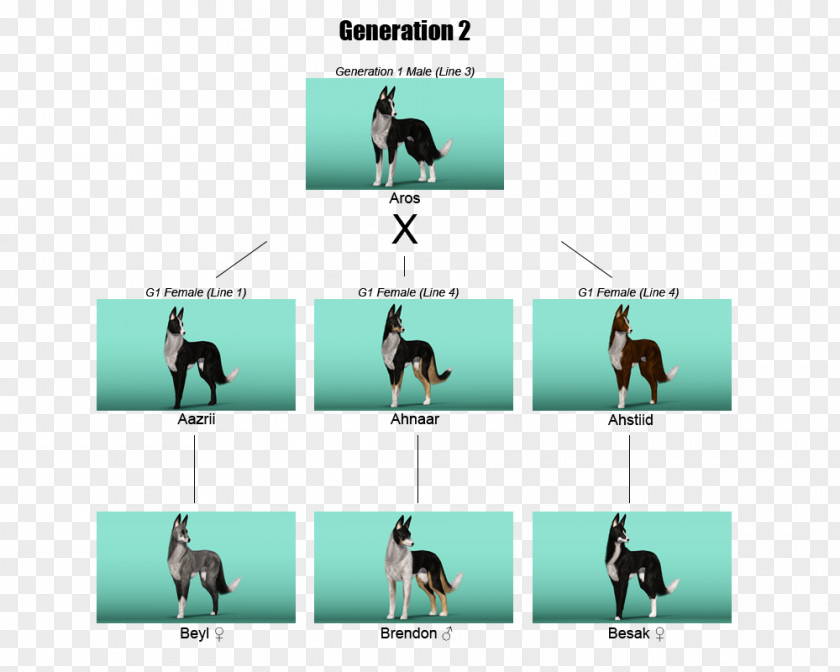 Design Line Diagram PNG