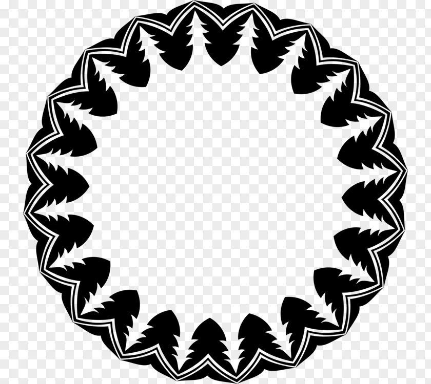 Pine Family Circle Leaf PNG