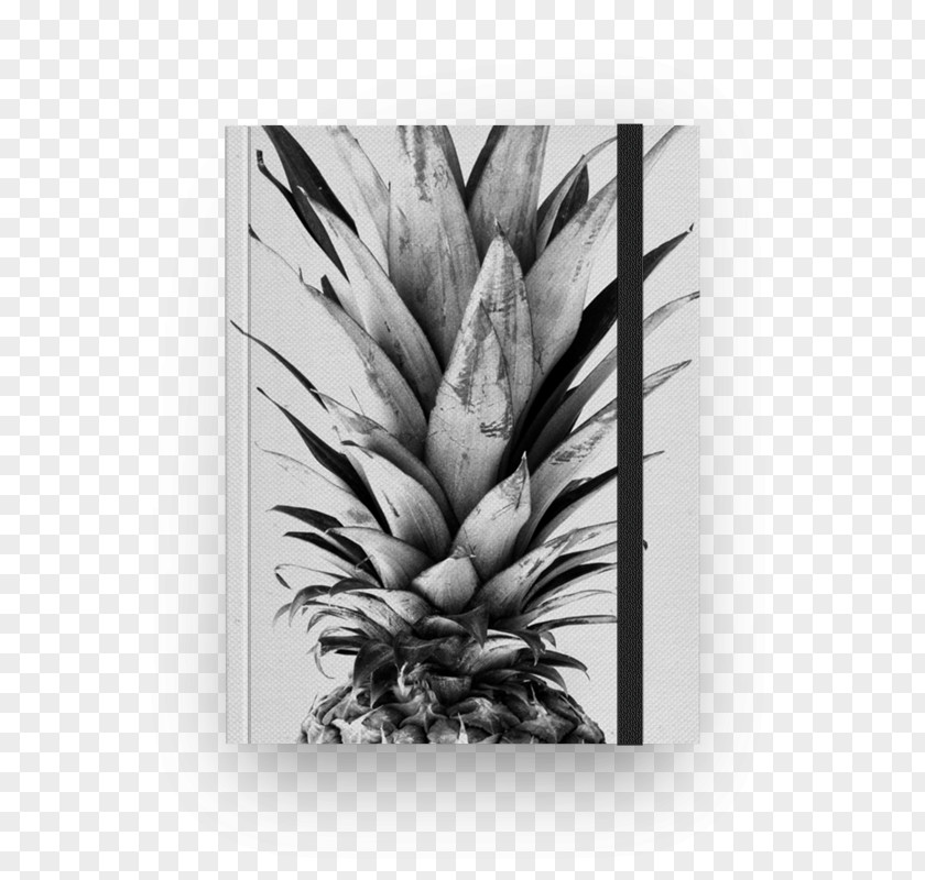 Pineapple Tropical Fruit White Avocado PNG