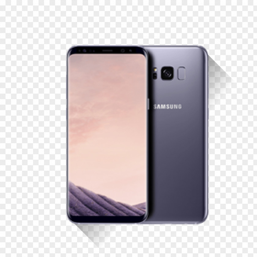 Samsung Galaxy S8+ Color 64 Gb PNG