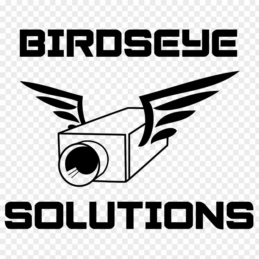 Supervision Logo Birdseye Solutions Brand Closed-circuit Television Font PNG