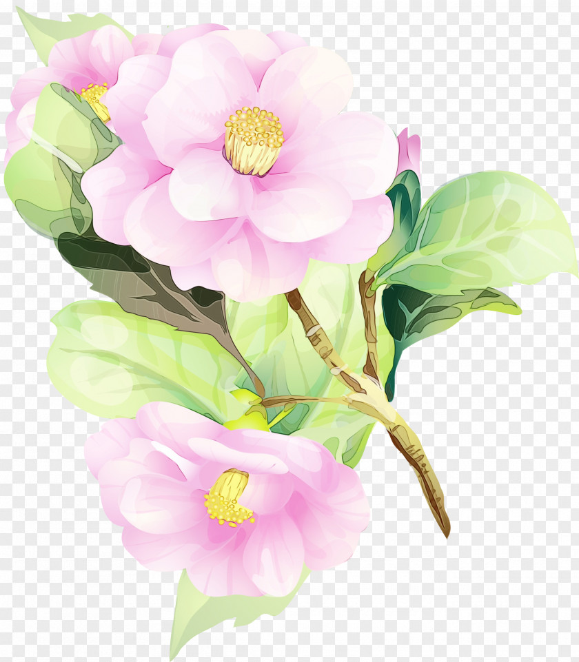 Watercolor Painting Watercolour Flowers Floral Design Art PNG