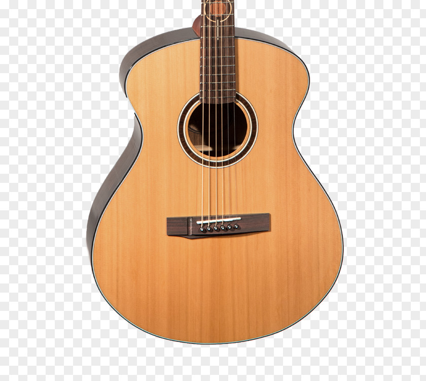 Acoustic Guitar Breedlove Discovery Concert Cutaway Acoustic-electric Solo CE Pursuit PNG