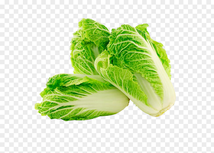 Cabbage Chinese Cuisine Napa Vegetable PNG