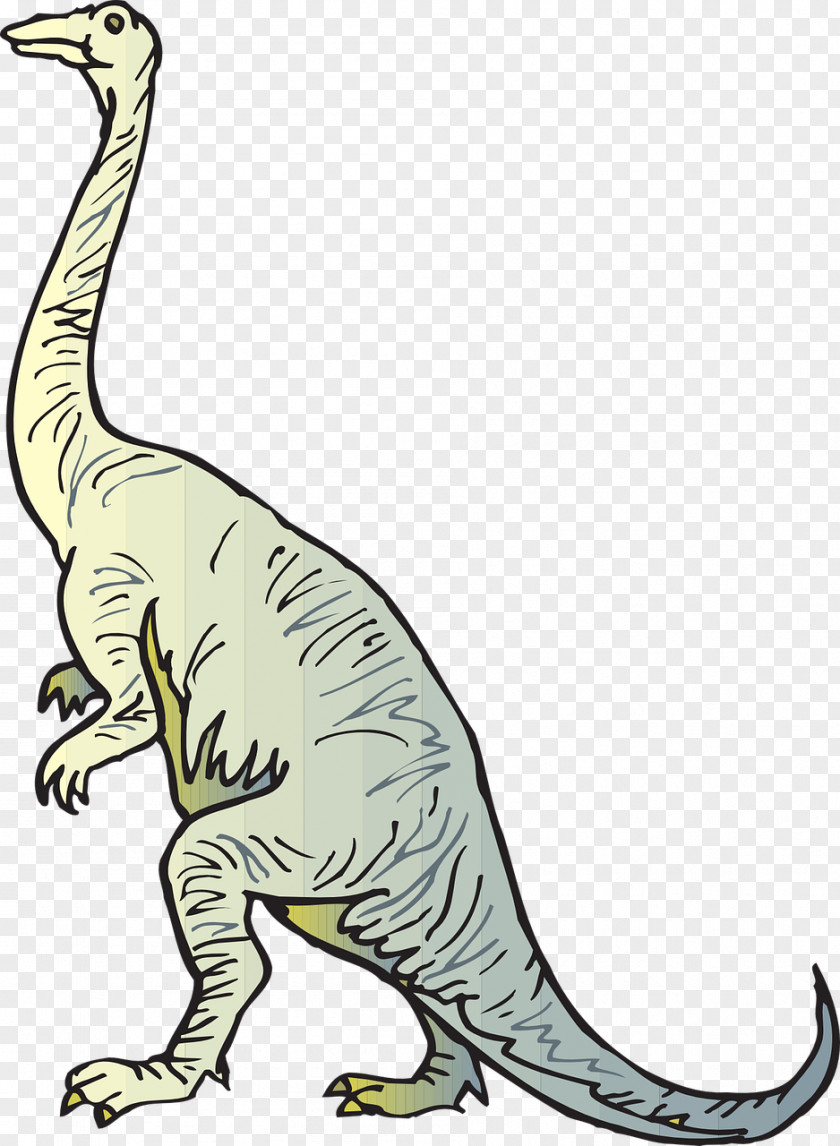 Dinosaur Diplodocus Brachiosaurus Apatosaurus Coloring Book PNG
