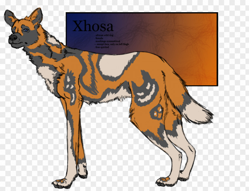 Dog Breed Dingo Red Fox Art PNG