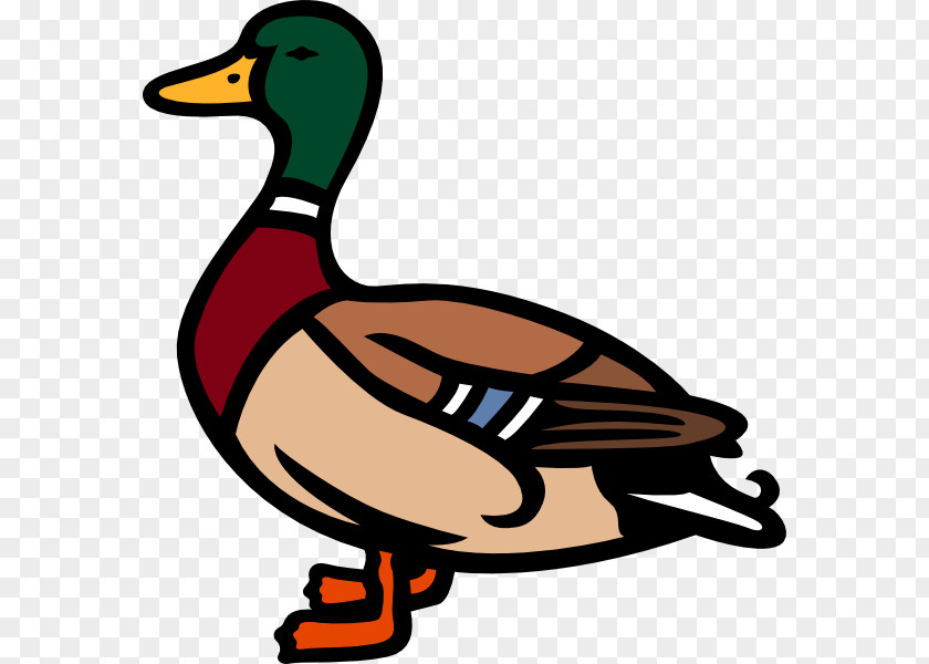 Duck Mallard Clip Art PNG