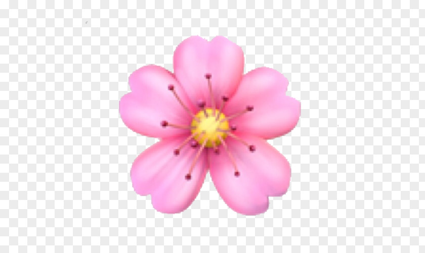 Emoji Domain Flower PNG