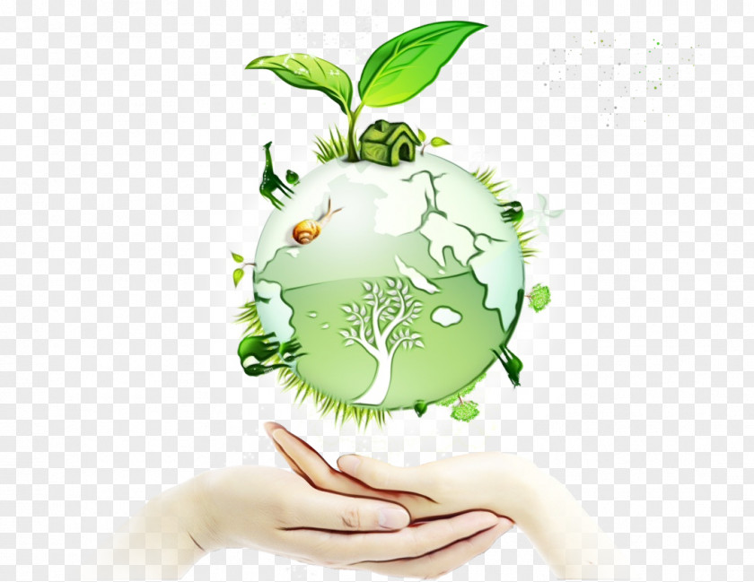 Green Hand World Plant Earth PNG