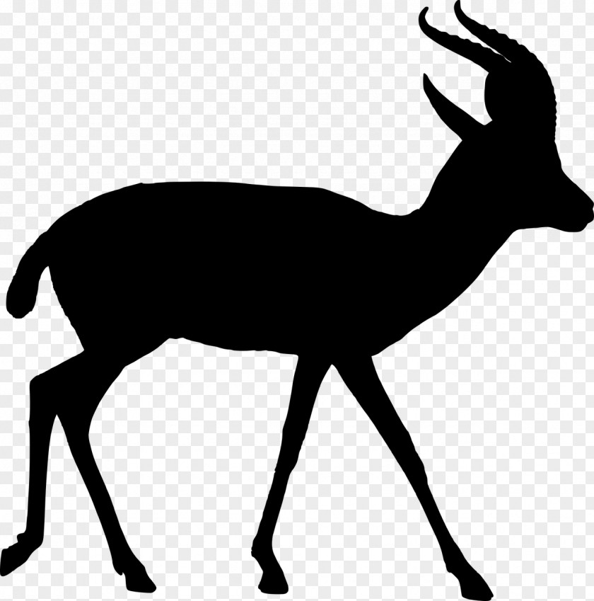 Musk Deer Line Art Family Silhouette PNG