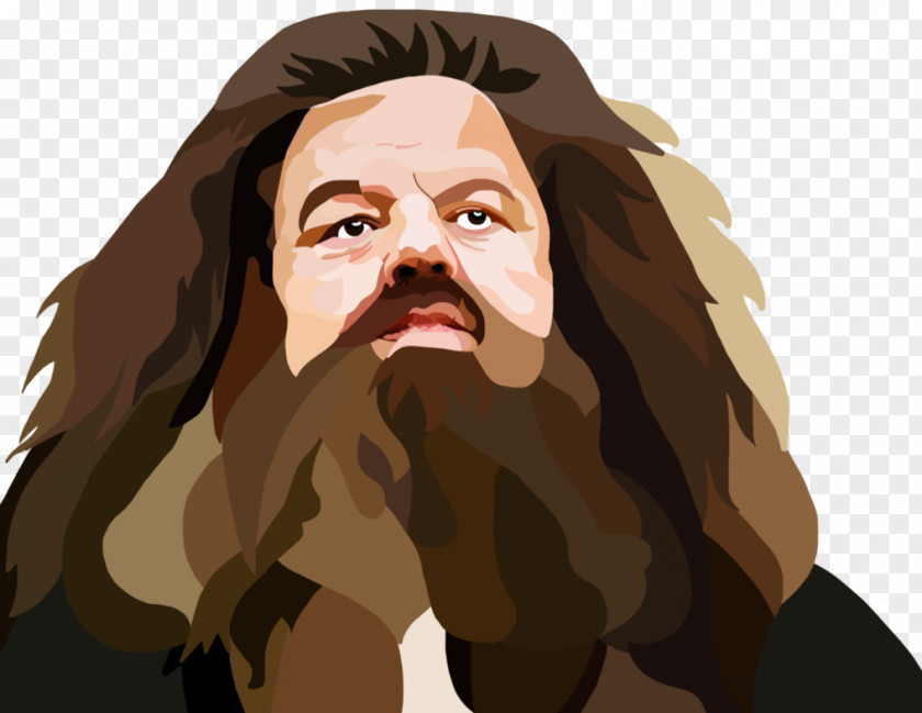 Painting Rubeus Hagrid Narcissa Malfoy Percy Weasley Ron Newt Scamander PNG