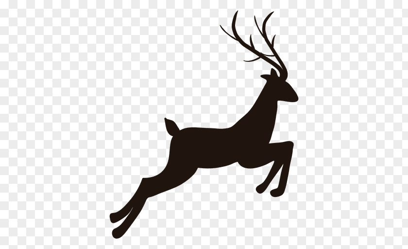 Raindeers Vector Reindeer Silhouette PNG