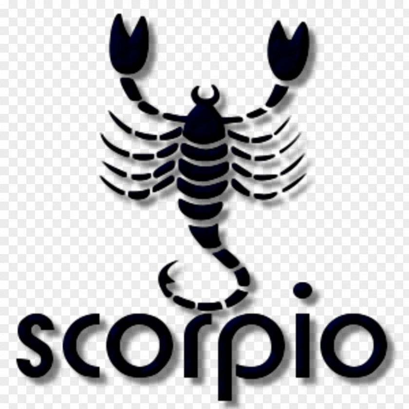 Scorpio Astrology Astrological Sign Zodiac Horoscope PNG