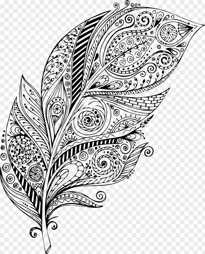 Vector Graphics Clip Art Feather Drawing PNG