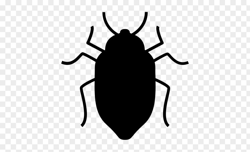 Bug Cockroach Insect Pest Control Illawarra PNG