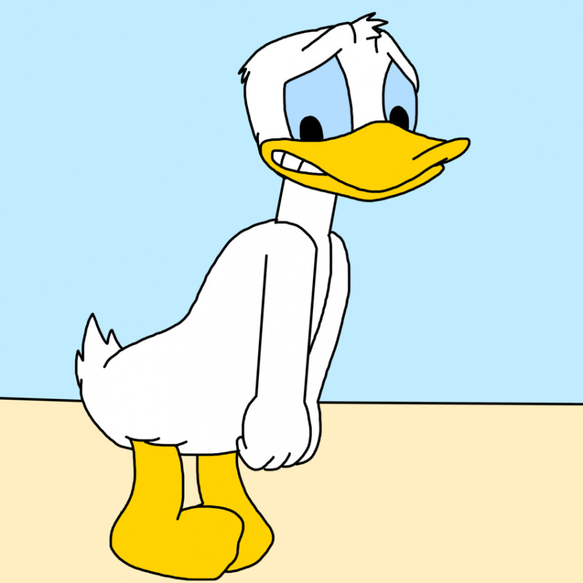 Donald Duck Daisy Daffy Cartoon PNG