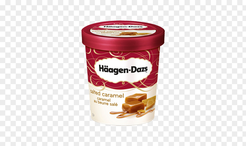 Ice Cream Praline Cheesecake Häagen-Dazs PNG