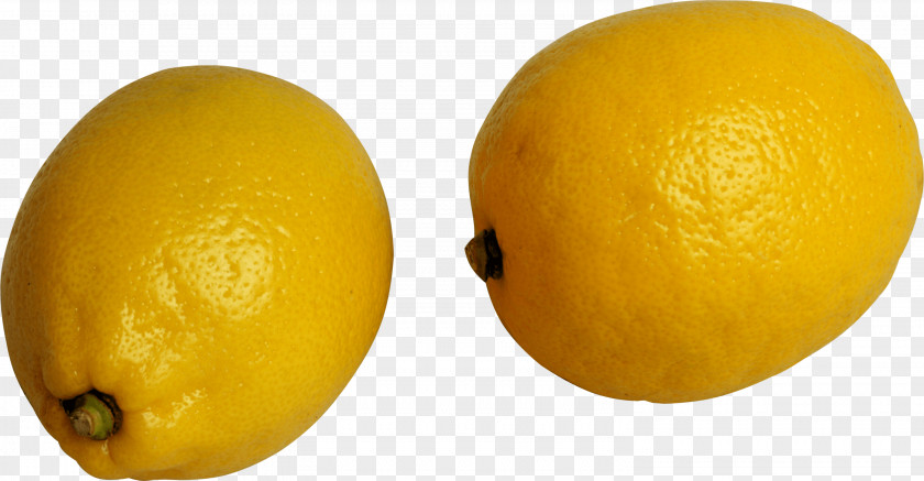 Lemon Image Meyer Juice PNG